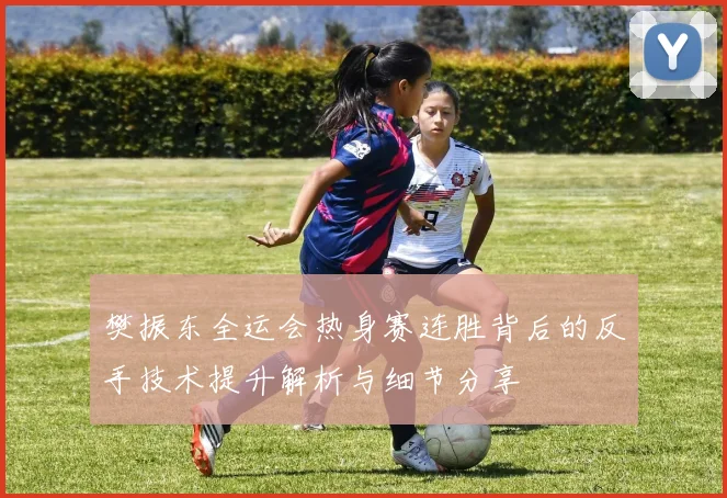 樊振东全运会热身赛连胜背后的反手技术提升解析与细节分享