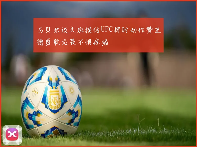 戈贝尔谈文班模仿UFC挥肘动作赞里德勇敢无畏不惧疼痛