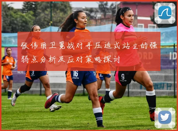 张伟丽卫冕战对手压迫式站立的强弱点分析及应对策略探讨